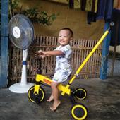 Dự