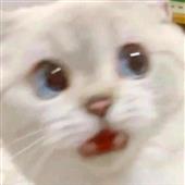 Bí