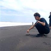 Sự t