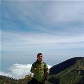 Cung