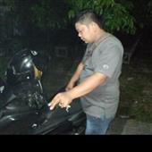 Truy