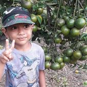 Kẹ