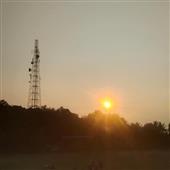 Tải 