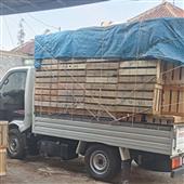Năm 