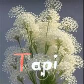 Mật 