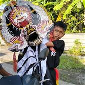 Sự T
