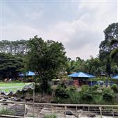 Săn