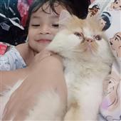 Is