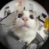 Dr