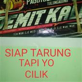 Sá