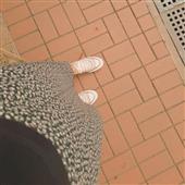 Li