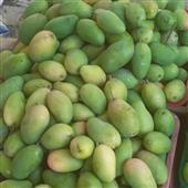 Dự