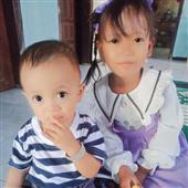 Cung