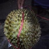 An