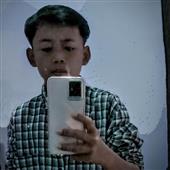 Sự T