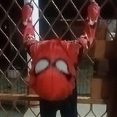 Tr