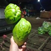Sấ