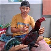 Đội 