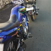 Bó