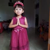 Luật