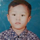 Flig