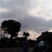 Dự