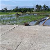 Đấ