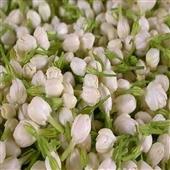 Kỳ