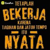 Xem 