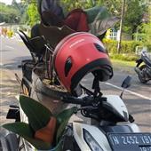 Mi