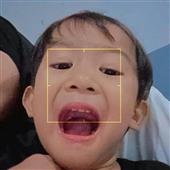 Li