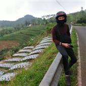 Sự T
