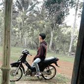 VỪ