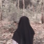 Gi