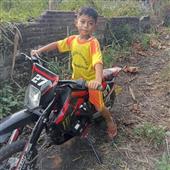Bd t