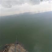 Tr