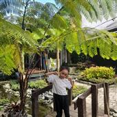 Thứ 