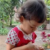 lộng