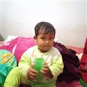 Nữ h