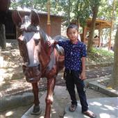 6 mặ