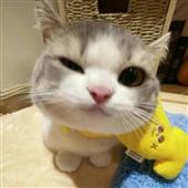 Su