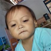 FI