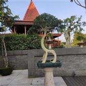 RỒ