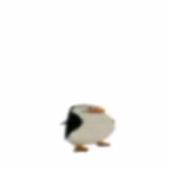 Hu