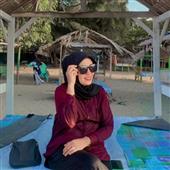 Cung