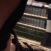 Fo