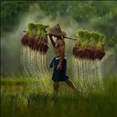 Chiế