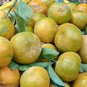 Kế