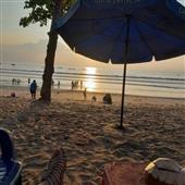 Cung
