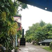 Chiế